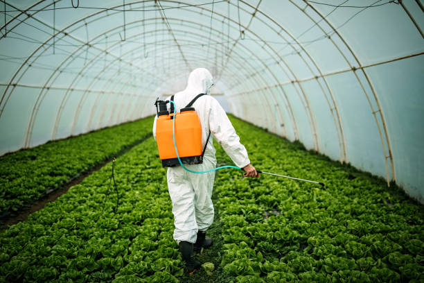 Professional Pest Control in West Bend, WI