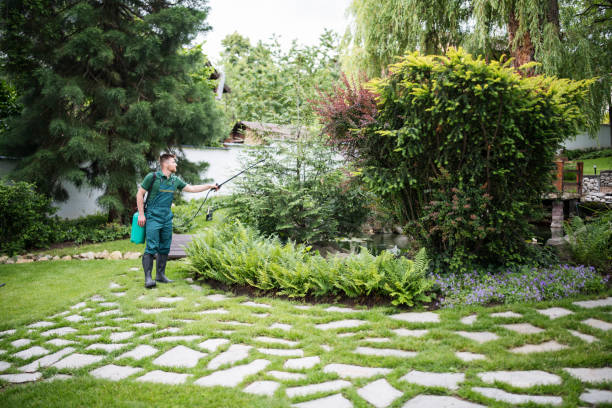Best Commercial Pest Control Services  in West Bend, WI