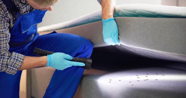 Best Pest Prevention Services  in West Bend, WI