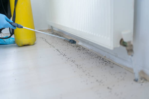 Insect Control in West Bend, WI