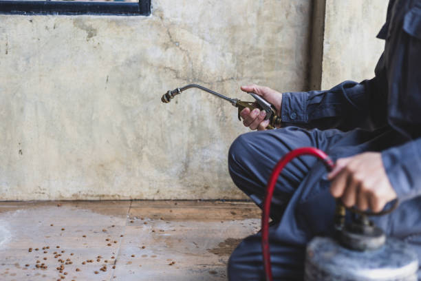 Best Wasp Removal Services  in West Bend, WI